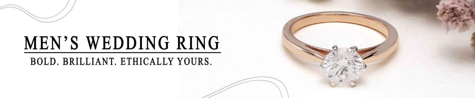 collection-banner